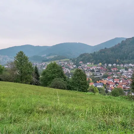Quaint In With Private Garden דירה Bühlertal